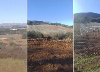 Αντίθετος ο Δήμος Μεσολογγίου στη μετατροπή μέρους του βελανιδοδάσους σε φωτοβολταϊκό πάρκο