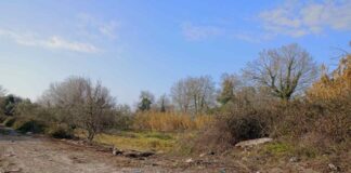 Καθαρίστηκε η άτυπη «χωματερή» στην Επισκοπή Μάστρου