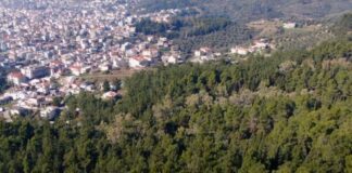 3.790 στρεμ. δασών καθαρίστηκαν στην Αιτωλοακαρνανία