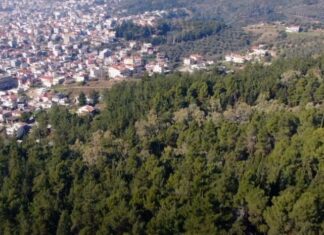 Πολύ υψηλός κίνδυνος πυρκαγιάς την Τρίτη σε περιοχές της Δυτικής Ελλάδας