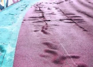 1,3 εκατ. το ποσό για το ταρτάν του ΔΑΚ Αγρινίου