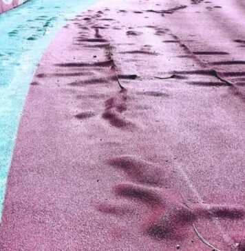 ΔΑΚ Αγρινίου: Ανατροπή στο διαγωνισμό για το νέο ταρτάν