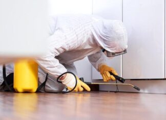 Κοριοί και φυσική αντιμετώπιση: Η ασφαλής επιλογή στην απεντόμωση για κοριούς