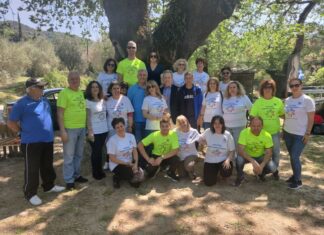 Ακτίνα Εθελοντισμού: Καθαρισμοί δασών στα πλαίσια του «Let’s Do It»