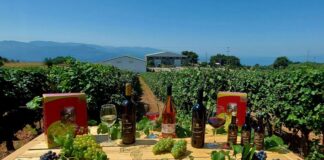 Χρυσό βραβείο για το «Πέτρινο Χωριό» στο Διεθνή Διαγωνισμό «Concours International de LYON»