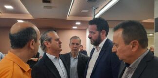 Πολιτικές πρωτοβουλίες διά πάσαν νόσον