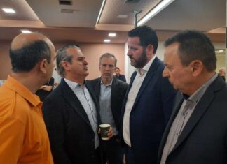 Πολιτικές πρωτοβουλίες διά πάσαν νόσον