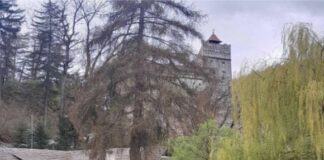 Εκπαιδευτική εκδρομή στη Ρουμανία για τη σύμπραξη τεσσάρων σχολείων