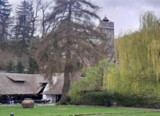 Εκπαιδευτική εκδρομή στη Ρουμανία για τη σύμπραξη τεσσάρων σχολείων