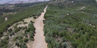 Με κριτήρια του 1980(!) εκτός προγράμματος για τις αντιπυρικές ζώνες η Αιτωλοακαρνανία