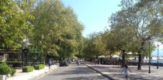 Ναύπακτος: Ενημερωτική εκδήλωση για το μεταχρωματικό έλκος των πλατάνων