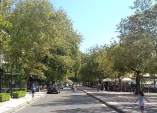 Ναύπακτος: Ενημερωτική εκδήλωση για το μεταχρωματικό έλκος των πλατάνων