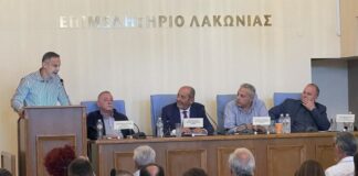 Ελιά Καλαμών: Τεχνική επιτροπή για τη θωράκιση του προϊόντος από φορείς τεσσάρων νομών