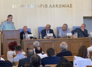 Ελιά Καλαμών: Τεχνική επιτροπή για τη θωράκιση του προϊόντος από φορείς τεσσάρων νομών
