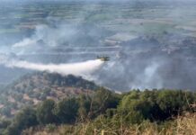 Δυτική Ελλάδα: Σχεδόν 60.000 καμένα στρέμματα στο τρίτο χειρότερο καλοκαίρι της 20ετίας