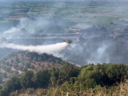 Δυτική Ελλάδα: Σχεδόν 60.000 καμένα στρέμματα στο τρίτο χειρότερο καλοκαίρι της 20ετίας