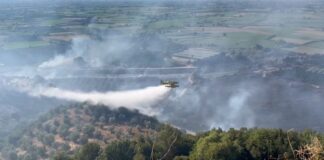 Δυτική Ελλάδα: Σχεδόν 60.000 καμένα στρέμματα στο τρίτο χειρότερο καλοκαίρι της 20ετίας