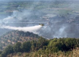 Δυτική Ελλάδα: Σχεδόν 60.000 καμένα στρέμματα στο τρίτο χειρότερο καλοκαίρι της 20ετίας