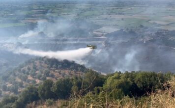 Δυτική Ελλάδα: Σχεδόν 60.000 καμένα στρέμματα στο τρίτο χειρότερο καλοκαίρι της 20ετίας