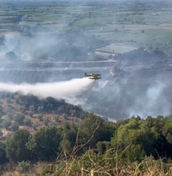 Δυτική Ελλάδα: Σχεδόν 60.000 καμένα στρέμματα στο τρίτο χειρότερο καλοκαίρι της 20ετίας