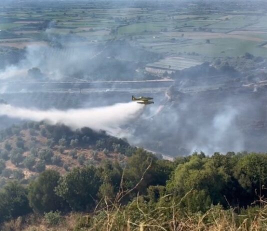 Δυτική Ελλάδα: Σχεδόν 60.000 καμένα στρέμματα στο τρίτο χειρότερο καλοκαίρι της 20ετίας