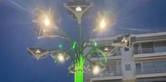 Ανυπότακτο Αγρίνιο: Όλη η αλήθεια για το ηλιακό δέντρο