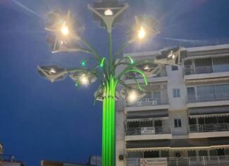 Ανυπότακτο Αγρίνιο: Όλη η αλήθεια για το ηλιακό δέντρο