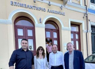 Θ. Μαυρομμάτης: Να θωρακιστεί το εθνικό προϊόν της ελιάς Καλαμών