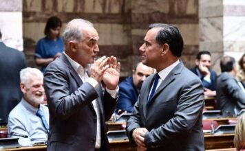 Ο Γεωργιάδης μηνύει Σαλμά για τα περί Ευρωπαϊκής Εισαγγελίας στο υπουργείο Υγείας