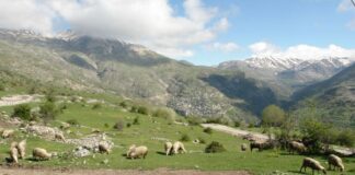 ΟΠΕΚΕΠΕ: Ποινές με αναστολή σε 38 Αγρινιώτες για ανύπαρκτα βοσκοτόπια στα Κύθηρα