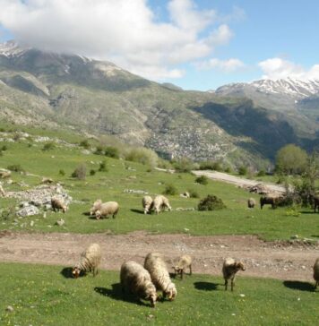 ΟΠΕΚΕΠΕ: Ποινές με αναστολή σε 38 Αγρινιώτες για ανύπαρκτα βοσκοτόπια στα Κύθηρα