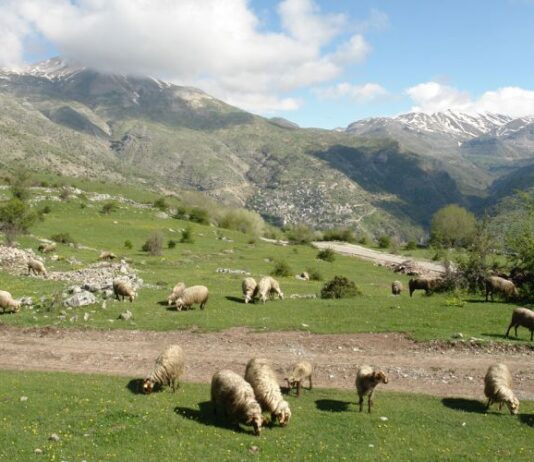 ΟΠΕΚΕΠΕ: Ποινές με αναστολή σε 38 Αγρινιώτες για ανύπαρκτα βοσκοτόπια στα Κύθηρα