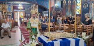 Μητροπολίτης Δαμασκηνός: «Ελπίζουμε και προσευχόμαστε για την επανένωση της Κύπρου»