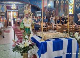 Μητροπολίτης Δαμασκηνός: «Ελπίζουμε και προσευχόμαστε για την επανένωση της Κύπρου»