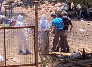 Kλινικές διερευνήσεις για την πανώλη σε όλη την Περιφέρεια Δυτικής Ελλάδας