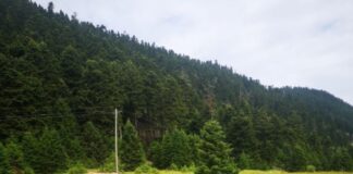 Η Γιορτή του Βουνού και του Φεγγαριού και με Λαϊκό Αγώνα Δρόμου: Κάρμα Natura