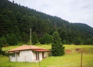 Η Γιορτή του Βουνού και του Φεγγαριού και με Λαϊκό Αγώνα Δρόμου: Κάρμα Natura