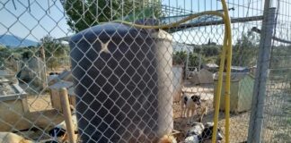 Παρέμβαση της Κτηνιατρικής για το χώρο συλλέκτη ζώων στο Αγρινίου ζητά η Πανελλαδική Φιλοζωική