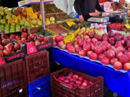 Περιφέρεια Δυτικής Ελλάδας: Παράταση προθεσμίας για υποβολή αιτήσεων ανανέωσης εγγράφων στο ΜΕΝΟ