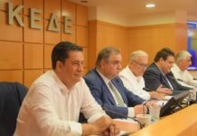 Γ. Παπαναστασίου: «Μόνο η Αθήνα έχει ανάγκη να αστυνομεύεται;»