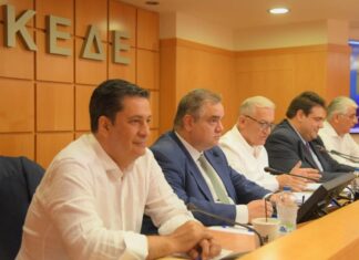 Γ. Παπαναστασίου για τα έργα της οπτικής ίνας: Λειτουργούν με τη λογική της αποικιοκρατίας