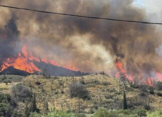 Αιτωλοακαρνανία: Ψάχνουν για εμπρηστές Πυροσβεστική και Αστυνομία