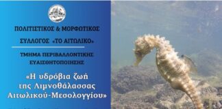 Εκδήλωση στο Αιτωλικό για την υδρόβια ζωή της Λιμνοθάλασσας
