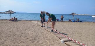 Για πρώτη φορά νεοσσοί χελώνας καρέτα – καρέτα στην Τουρλίδα