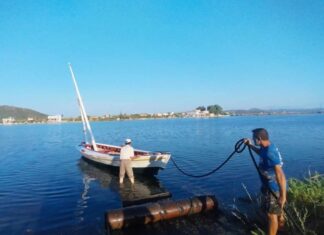 To νέο σταφνοκάρι στην παραλία του Αιτωλικού