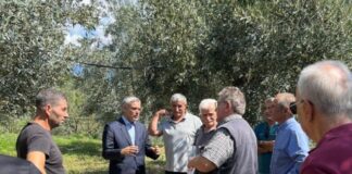 Επίσκεψη Καραγκούνη στις πληγείσες από το χαλάζι καλλιέργειες