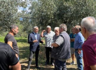 Επίσκεψη Καραγκούνη στις πληγείσες από το χαλάζι καλλιέργειες