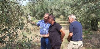 Περιοδεία Παπαναστάση στις πληγείσες από χαλάζι περιοχές