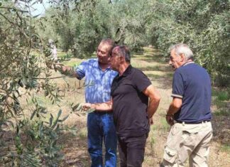 Περιοδεία Παπαναστάση στις πληγείσες από χαλάζι περιοχές