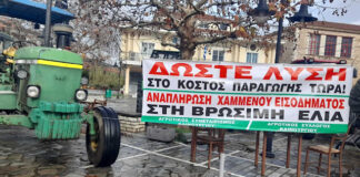 Αγροτικός Σύλλογος Καινούργιου: Σύσκεψη για τη συγκομιδή της ελιάς, τα προβλήματα του ΤΟΕΒ και του λογαριασμούς της ΔΕΥΑ